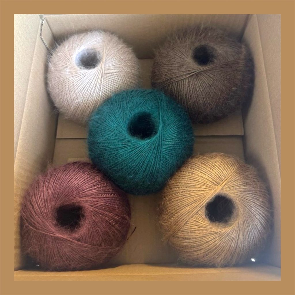 Angora - Casasol - Imagen 2